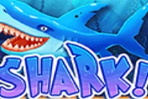 Shark!